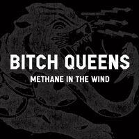 Methane in the Wind
