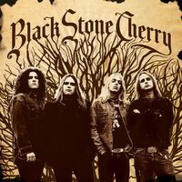 Black Stone Cherry [Special Edition]