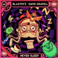 Never Sleep (Extended Mix)