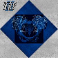 Bone Dies II