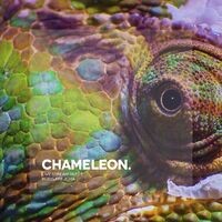 Chameleon (Live Stream Part 1)