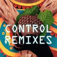 Control Remixes