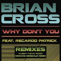 Why Don't You (Remixes)