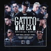 El Gatito de Mi Ex (Remix)