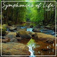 Symphonies of Life, Vol. 57 - Carulli: Guitar Concertos
