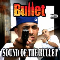 Sound of the Bullet