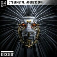 Cybermetal Aggression