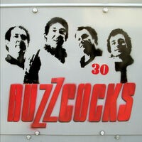 Buzzcocks: 30