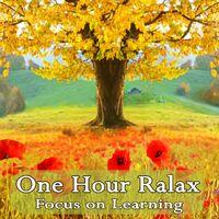 One Hour Relax (Focus on Learning)