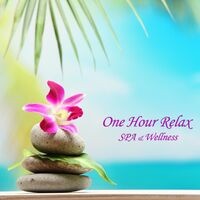 One Hour Relax (Spa & Wellness)