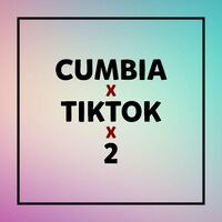 TikTok Cumbia 2 (Remix)