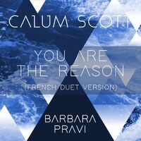 You Are The Reason (French Duet Version)