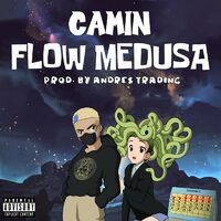 Flow Medusa