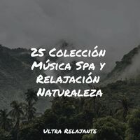 25 Colección Música Spa y Relajación Naturaleza