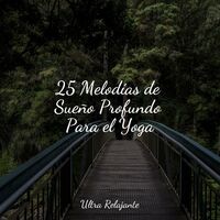 25 Melodías de Sueño Profundo Para el Yoga