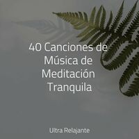 40 Canciones de Música de Meditación Tranquila