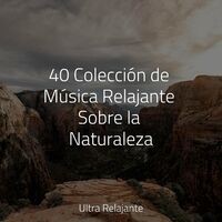 40 Colección de Música Relajante Sobre la Naturaleza