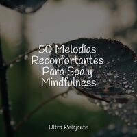 50 Melodías Reconfortantes Para Spa y Mindfulness