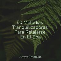 50 Melodías Tranquilizadoras Para Relajarse En El Spa