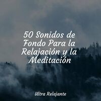 50 Sonidos de Fondo Para la Relajación y la Meditación