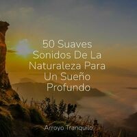 50 Suaves Sonidos De La Naturaleza Para Un Sueño Profundo
