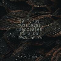 50 Temas Musicales Esenciales Para La Meditación