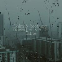 Calm & Soothing Tracks | Alivio Del Estrés