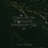 Colección De Música De Meditación Fall 50