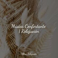Música Confortante | Relajación