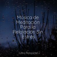 Música de Meditación Para la Relajación Sin Estrés