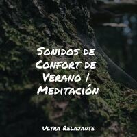 Sonidos de Confort de Verano | Meditación