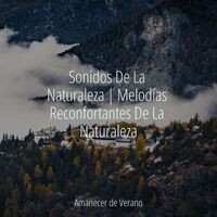 Sonidos De La Naturaleza | Melodías Reconfortantes De La Naturaleza