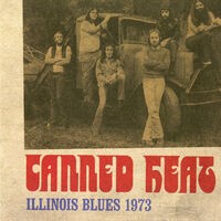 Illinois Blues 1973 (Live)