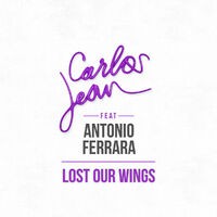 Lost Our Wings