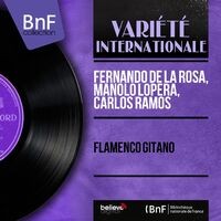 Flamenco Gitano (Mono Version)