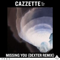Missing You (feat. Parson James) (Dexter Remix)