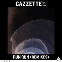 Run Run (feat. Morgan Bosman) (Remixes)
