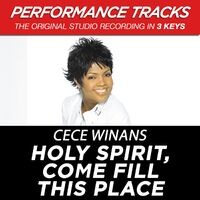 Holy Spirit, Come Fill This Place (Performance Tracks)