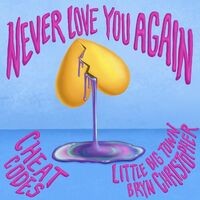 Never Love You Again (with Little Big Town & Bryn Christopher)