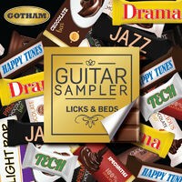 Guitar Sampler - Licks & Beds