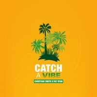 Catch a Vibe (feat. Pat Ryan)