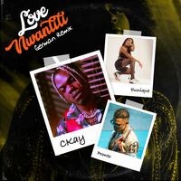 love nwantiti (feat. Pronto & Eunique) (German Remix)