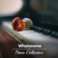 #17 Wholesome Piano Collection