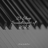 25 Sleep Soundscapes of 2022
