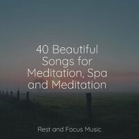 40 Beautiful Songs for Meditation, Spa and Meditation