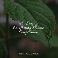 40 Deeply Comforting Music Compilation