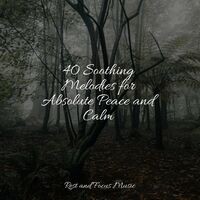 40 Soothing Melodies for Absolute Peace and Calm