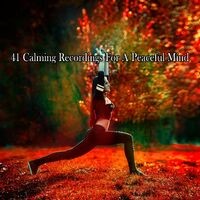 41 Calming Recordings For A Peaceful Mind