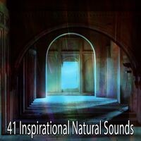41 Inspirational Natural Sounds