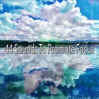 44 Sounds To Promote Focus